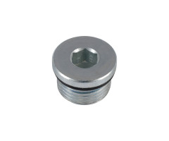 PLUG, SOCKET HEAD W/O-RING