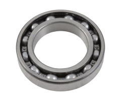ZF Bearing