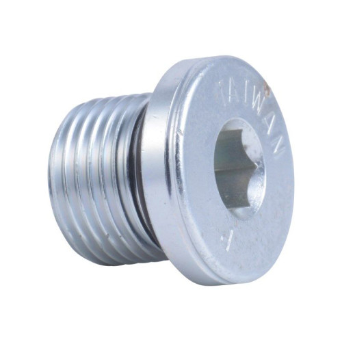 PLUG, CATALYTIC CONVERTER