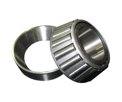 ZF Roller Bearing