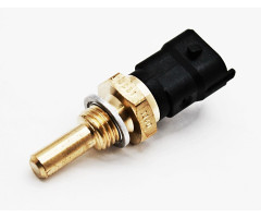 AFTM-Temperature Sensor/Transmitter