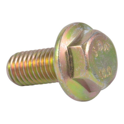 SCR HEX FLG,M10 X 22 LG