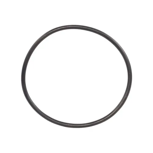 DTZ-SEAL,FILTER HEAD